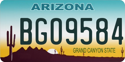 AZ license plate BGO9584