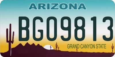 AZ license plate BGO9813