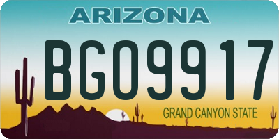 AZ license plate BGO9917