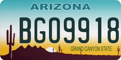 AZ license plate BGO9918