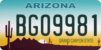 AZ license plate BGO9981
