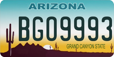 AZ license plate BGO9993