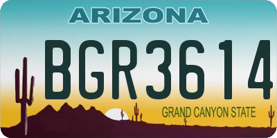 AZ license plate BGR3614