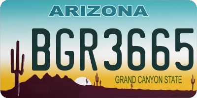 AZ license plate BGR3665