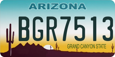 AZ license plate BGR7513
