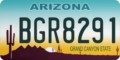 AZ license plate BGR8291