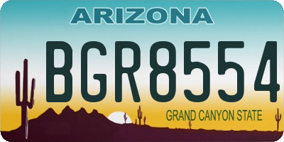AZ license plate BGR8554