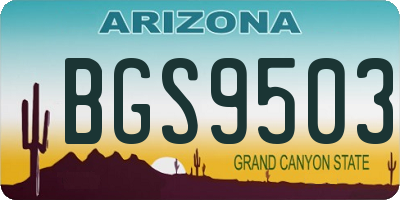 AZ license plate BGS9503