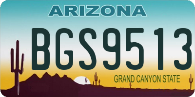 AZ license plate BGS9513