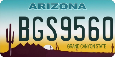 AZ license plate BGS9560