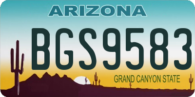 AZ license plate BGS9583