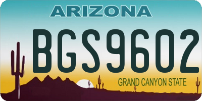 AZ license plate BGS9602