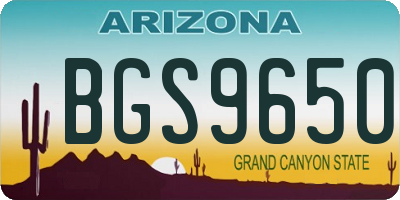 AZ license plate BGS9650