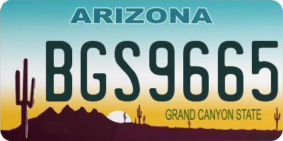 AZ license plate BGS9665