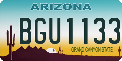 AZ license plate BGU1133