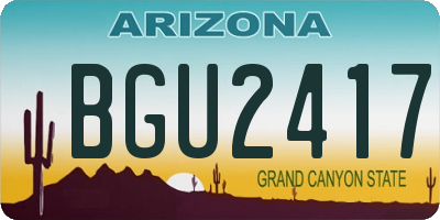 AZ license plate BGU2417
