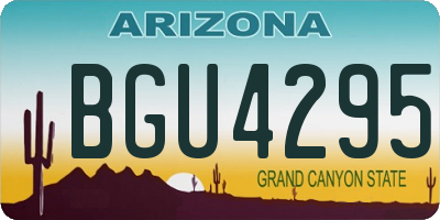 AZ license plate BGU4295