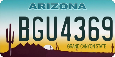 AZ license plate BGU4369