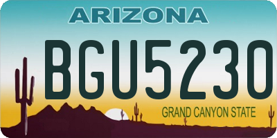 AZ license plate BGU5230