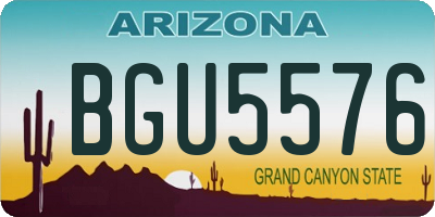AZ license plate BGU5576