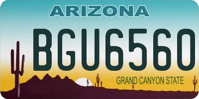 AZ license plate BGU6560