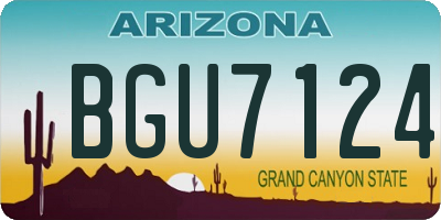 AZ license plate BGU7124