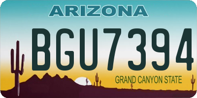 AZ license plate BGU7394