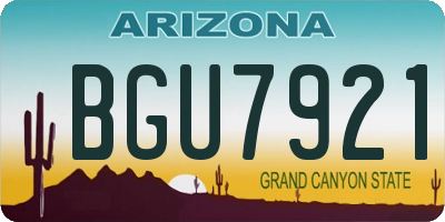 AZ license plate BGU7921