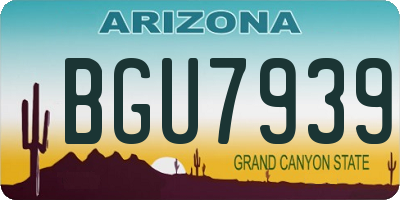AZ license plate BGU7939