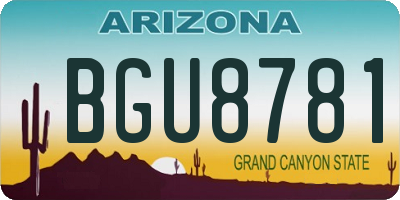 AZ license plate BGU8781