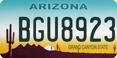 AZ license plate BGU8923