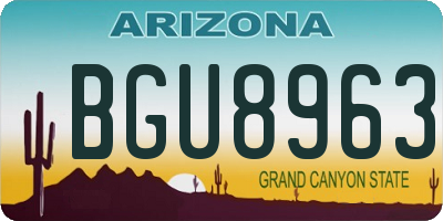 AZ license plate BGU8963