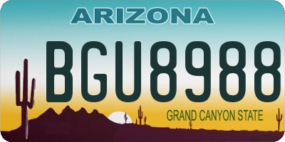 AZ license plate BGU8988