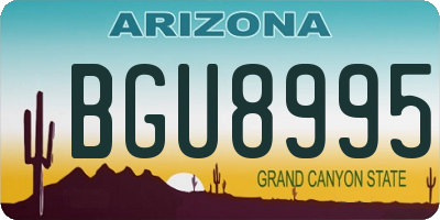 AZ license plate BGU8995