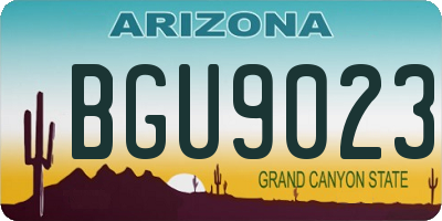AZ license plate BGU9023