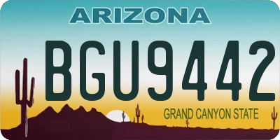 AZ license plate BGU9442