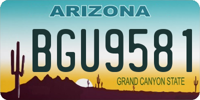 AZ license plate BGU9581
