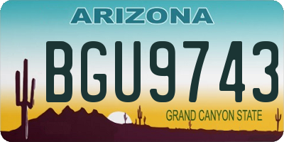 AZ license plate BGU9743