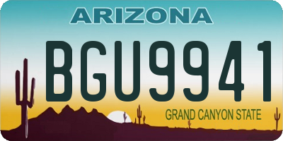 AZ license plate BGU9941