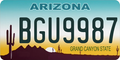 AZ license plate BGU9987
