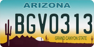 AZ license plate BGV0313