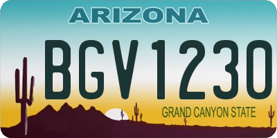 AZ license plate BGV1230