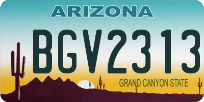 AZ license plate BGV2313