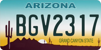 AZ license plate BGV2317