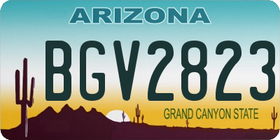 AZ license plate BGV2823
