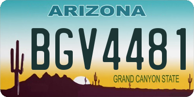 AZ license plate BGV4481