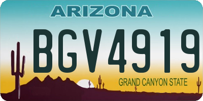 AZ license plate BGV4919
