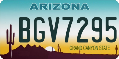 AZ license plate BGV7295