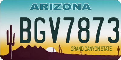 AZ license plate BGV7873