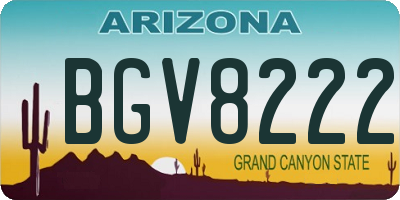 AZ license plate BGV8222